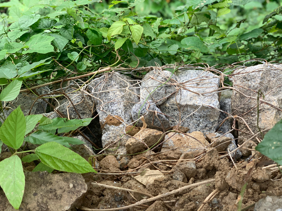 Đơn thi công lắp rọ đá xung quanh. Đơn thi công lắp rọ đá xung quanh.