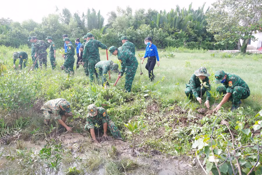 Cán bộ, chiến sĩ Biên phòng lực lượng ĐVTN xã Trung Bình tham gia trồng cây đước chống sạt lở tại trạm kiểm soát Biên phòng Mỹ Thanh.