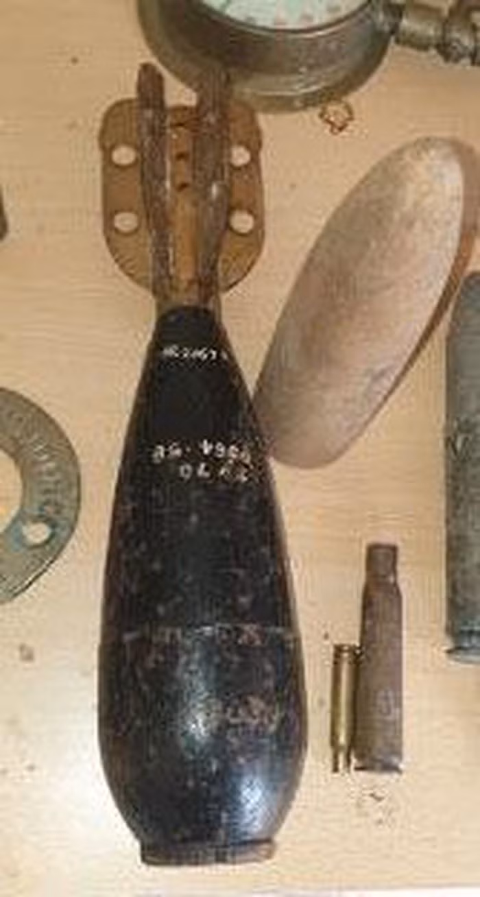 Dọn nhà cho bà, cặp đôi phát hiện gia đình sống cạnh "tử thần" gần 50 năm ảnh 2