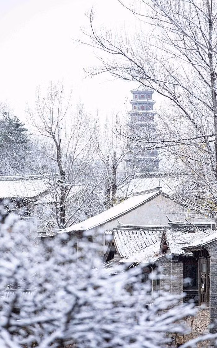 (Ảnh: Trần Vĩnh Lợi).