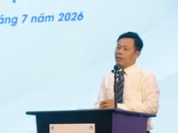 Tái cấu trúc mạng lưới, hình thành các đại học dẫn dắt