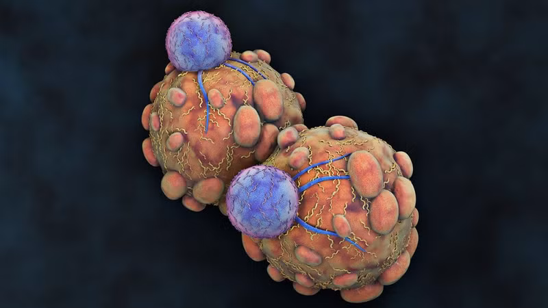 Triển vọng chữa ung thư bằng... vi khuẩn