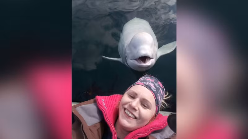 Phương Tây xôn xao vì 'gián điệp Nga' xinh đẹp trắng muốt