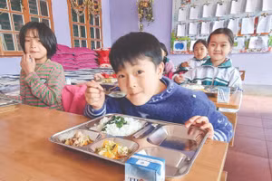 Lấp những khoảng trống pháp luật để chuẩn hóa chất lượng bữa ăn học đường