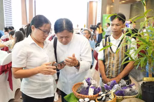 Than hoạt tính từ cây tre le - một sản phẩm xanh của bạn trẻ người dân tộc là dự án đầy tiềm năng của cuộc thi khởi nghiệp năm nay.