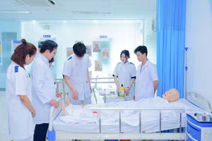 Ảnh minh họa/internet.