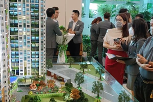 TPHCM cấp 5.789 sổ hồng trong năm 2024.