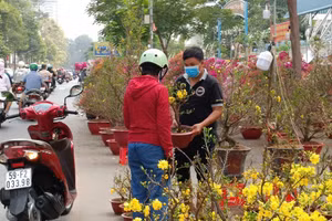 Tết Ất Tỵ năm nay, TPHCM có thêm 7 chợ hoa xuân cấp thành phố.