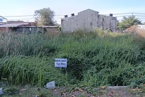 UBND TPHCM chính thức ký quyết định về điều kiện tách thửa đất, điều kiện hợp thửa đất và diện tích tối thiểu được tách thửa.