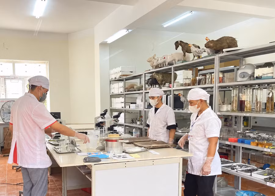Sinh viên ngành Chăn nuôi - Thú y, Trường Cao đẳng Sơn La trong phòng thực hành. Ảnh: NTCC.