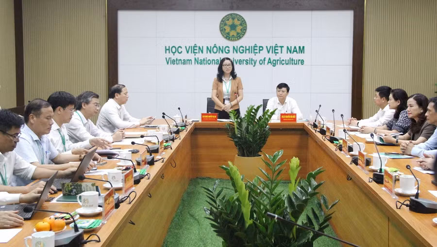 GS.TS Nguyễn Thị Lan - Giám đốc Học viện Nông nghiệp Việt Nam phát biểu tại buổi làm việc.