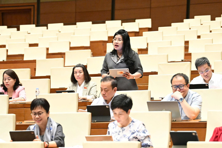 Đại biểu Đàng Thị Mỹ Hương, đoàn ĐBQH tỉnh Khánh Hòa phát biểu. daihocjpg1.jpg