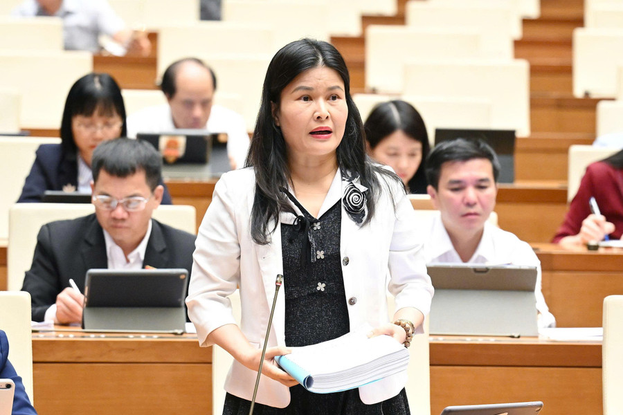 Đại biểu Bùi Thị Quỳnh Thơ, đoàn đại biểu Quốc hội tỉnh Hà Tĩnh. daihocjpg4.jpg