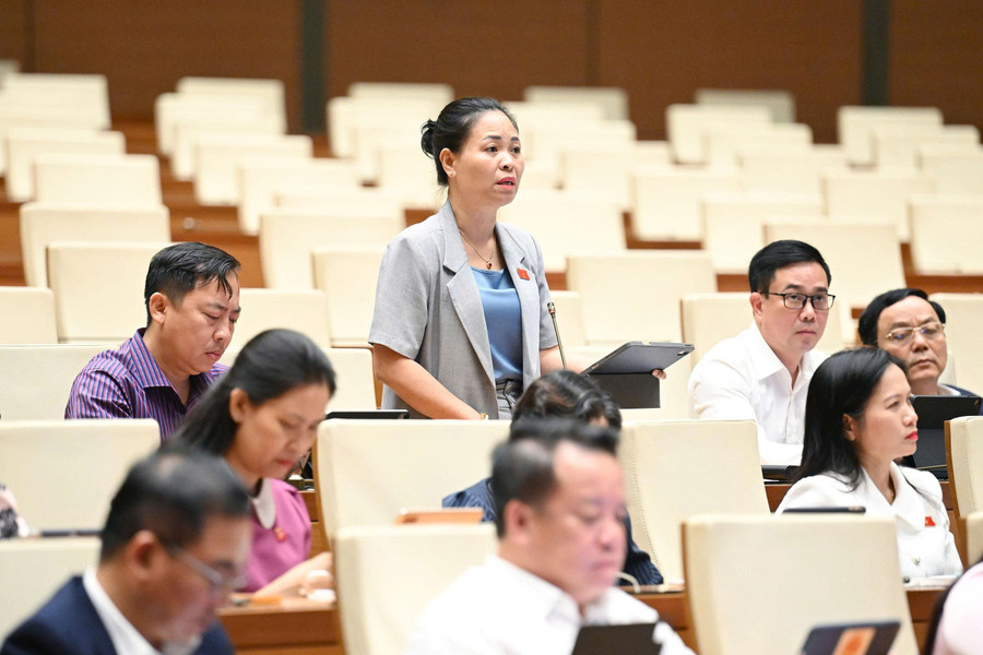 Đại biểu Nguyễn Thị Thu Dung, đoàn đại biểu Quốc hội tỉnh Hưng Yên phát biểu. daihocjpg3.jpg