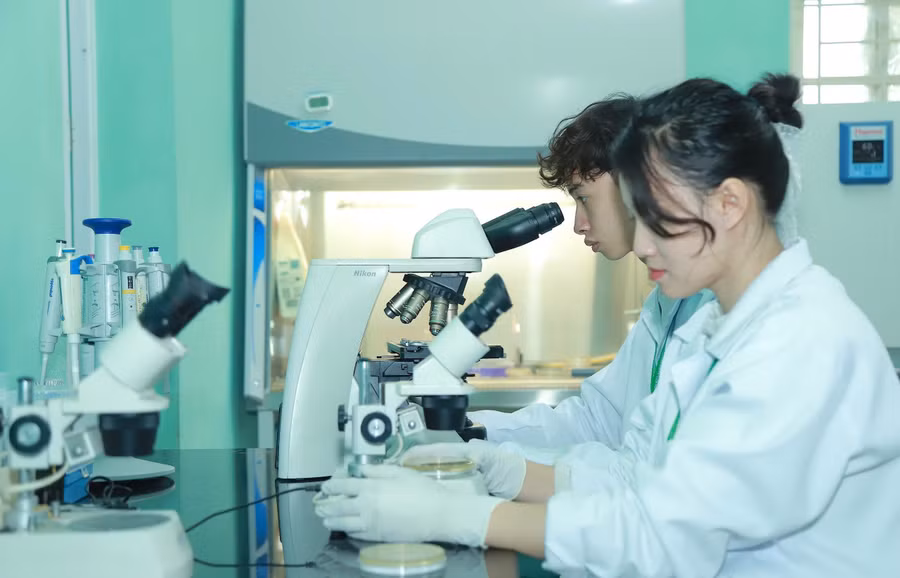 Sinh viên Học viện Nông nghiệp Việt Nam nghiên cứu khoa học.