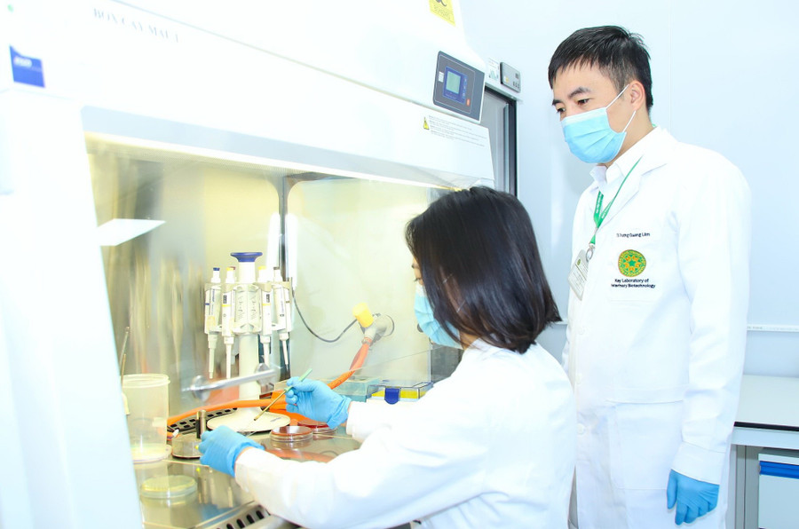 Hoạt động nghiên cứu khoa học tại Học viện Nông nghiệp Việt Nam. 18.jpg
