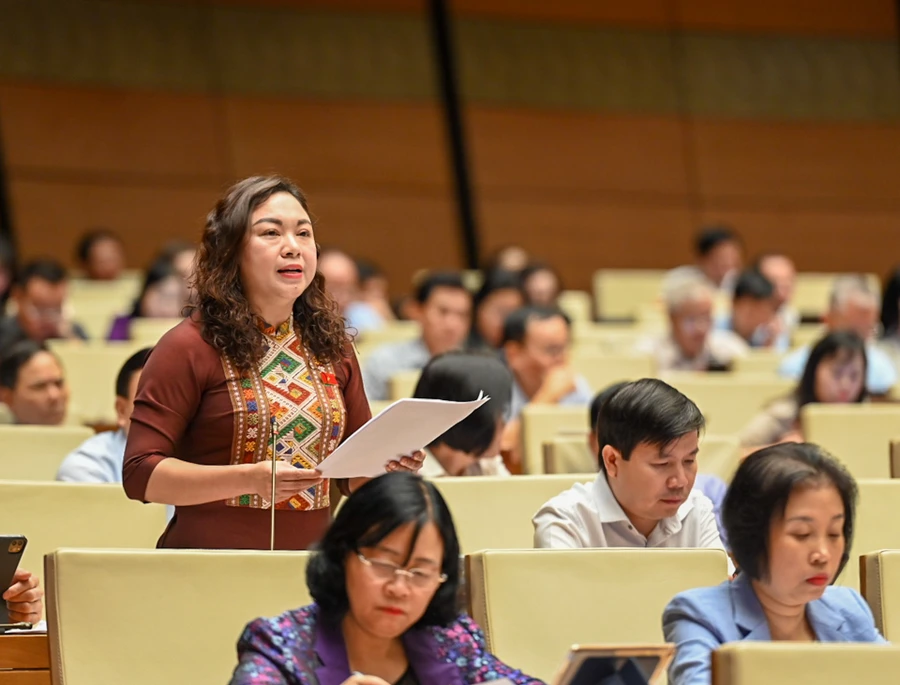 Bà Đặng Bích Ngọc – đoàn đại biểu Quốc hội tỉnh Hoà Bình.