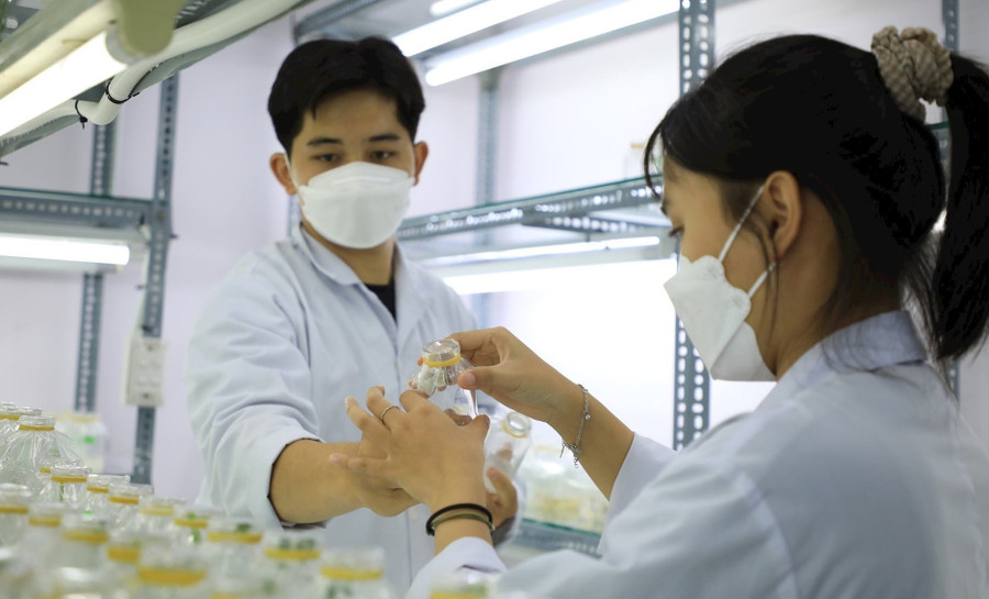 Sinh viên Trường ĐH Công Thương TP Hồ Chí Minh trong giờ học thực hành. Ảnh: Công Chương.