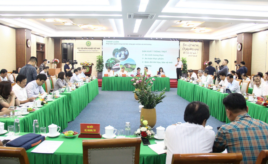 Toàn cảnh hội thảo. img-1526.jpg
