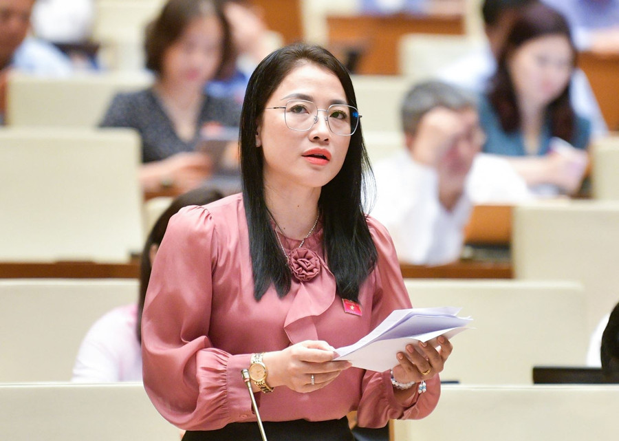 Đại biểu Quốc hội Trần Khánh Thu – Đoàn Thái Bình.