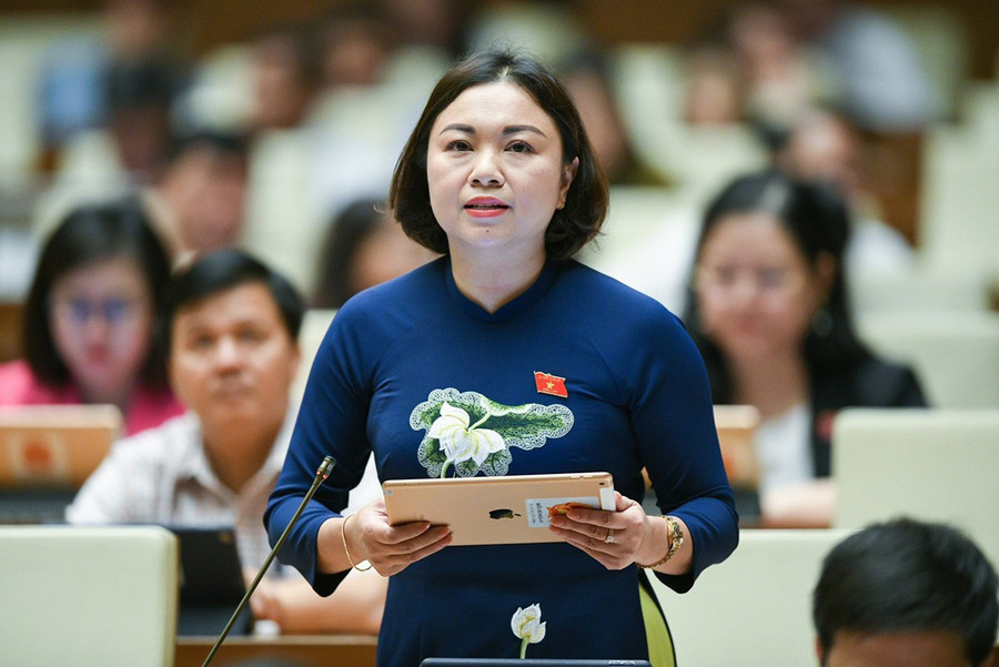 Đại biểu Quốc hội Đặng Bích Ngọc – đoàn tỉnh Hòa Bình. luatnhagioajpg11.jpg