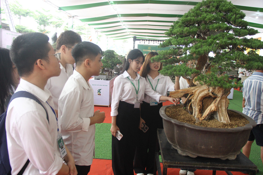 Ngành đào tạo Công nghệ Rau Hoa Quả và Cảnh quan được Học viện Nông nghiệp Việt Nam mở từ năm 2007. img-9549.jpg