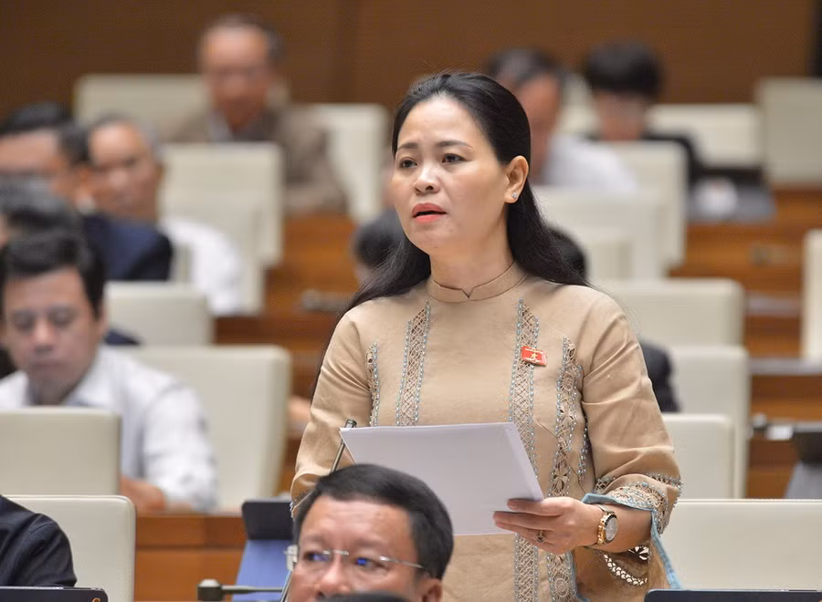 Đại biểu Quốc hội Nguyễn Thị Thu Dung. Ảnh: Quochoi.vn.