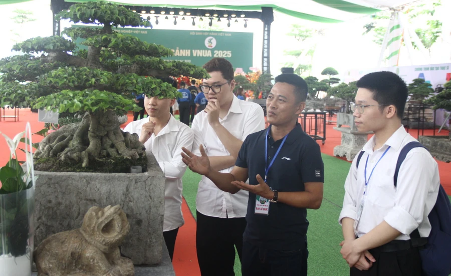 Sinh viên Học viện Nông nghiệp Việt Nam được chuyên gia, chủ nhà vườn giới thiệu về cây cảnh để có thể thương mại hóa ra thị trường.
