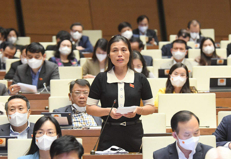 Bà Hồ Thị Minh – đại biểu Quốc hội tỉnh Quảng Trị. Ảnh: Quochoi.vn. luatnhagiao.jpg