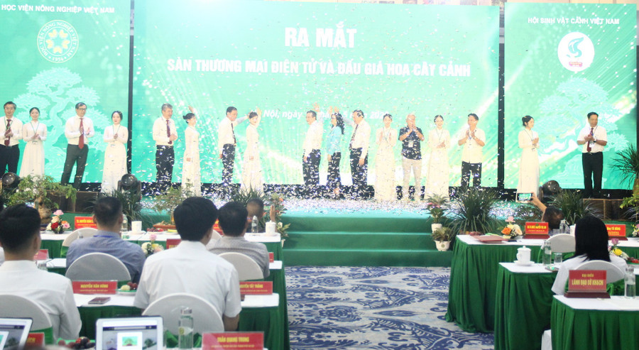 Nhân dịp này, sàn đấu giá, thương mại điện tử hoa, cây cảnh VNUA chính thức được bấm nút ra mắt. caycanh-6.jpg