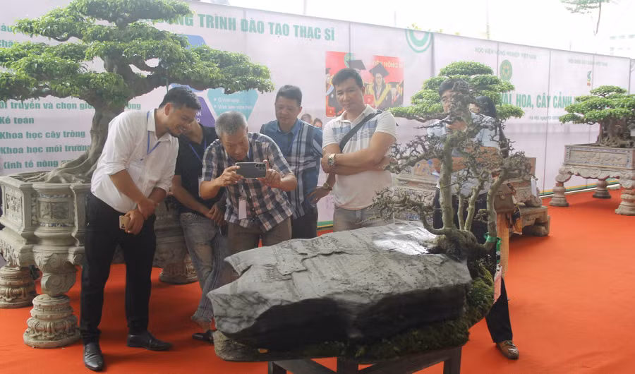 Du khách thích thú tham dự Festival hoa, cây cảnh VNUA 2025.