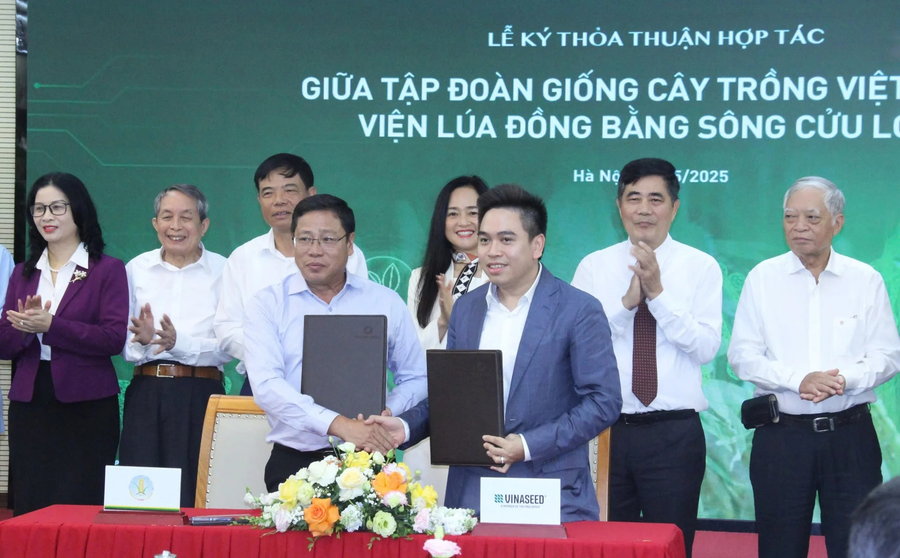 Lễ ký kết thỏa thuận hợp tác giữa Viện lúa ĐBSCL và Vinaseed, một thành viên của Tập đoàn PAN. gbc0xy0u.png