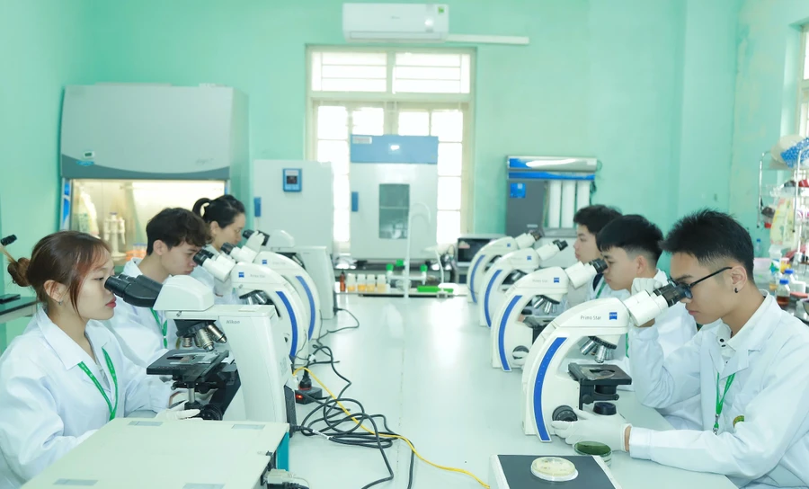 Hoạt động nghiên cứu khoa học tại Học viện Nông nghiệp Việt Nam.
