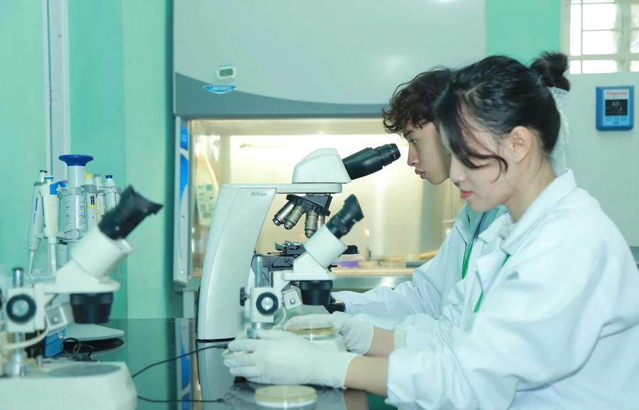 Sinh viên Học viện Nông nghiệp Việt Nam.