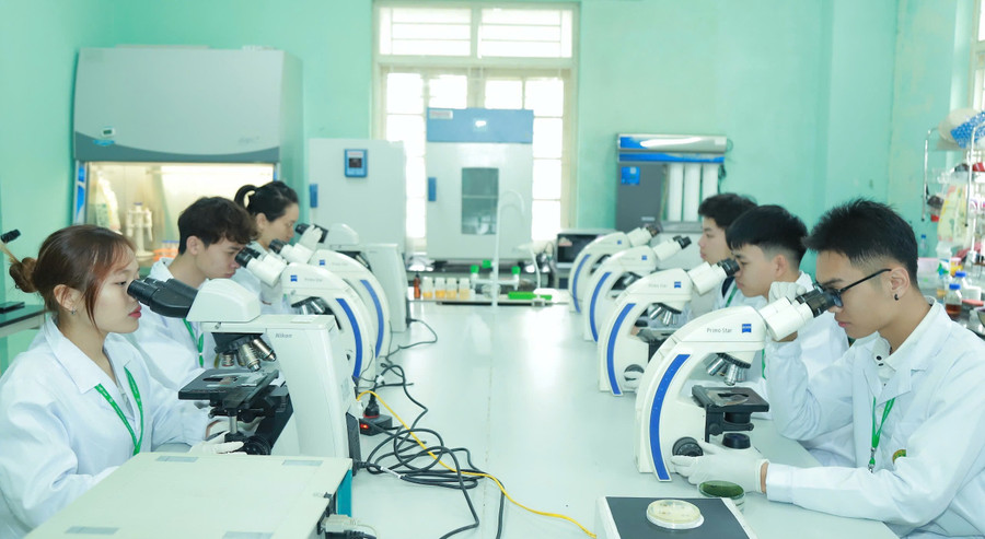 Sinh viên Học viện Nông nghiệp Việt Nam thực hành trong phòng thí nghiệm.
