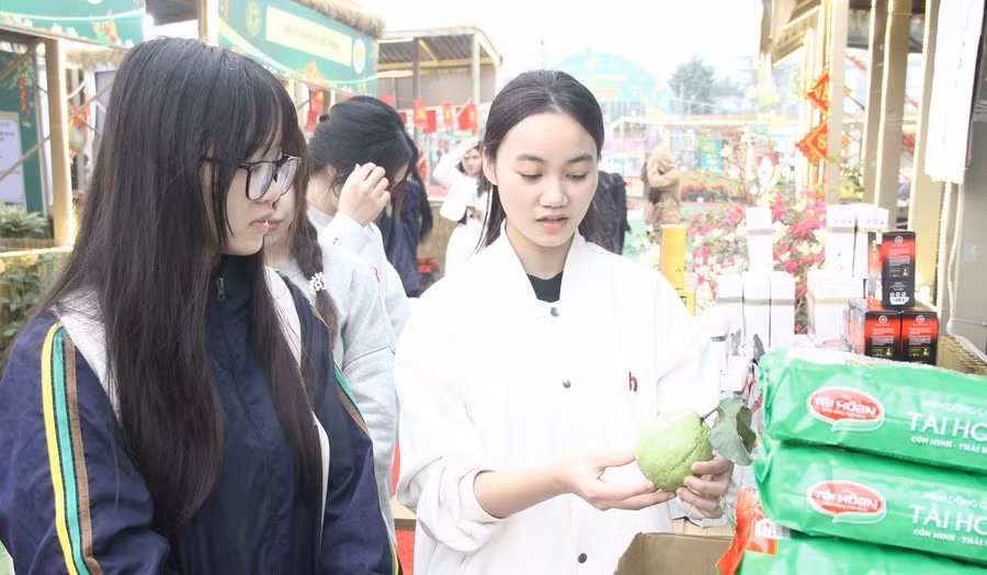 Sinh viên Trần Thu Trang (áo trắng) giới thiệu sản phẩm khi tham gia Hội chợ xuân Bính Ngọ 2026.