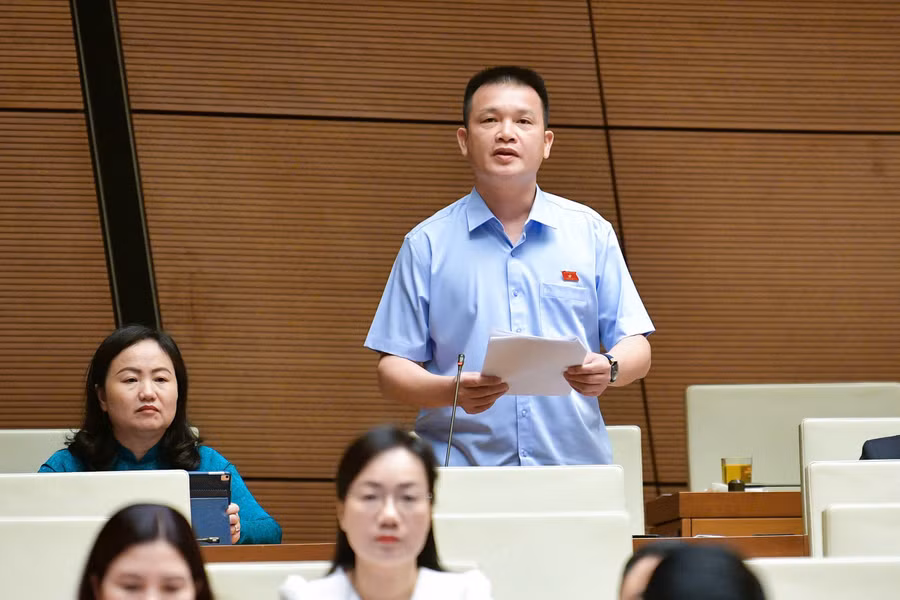 Đại biểu Hoàng Ngọc Định thảo luận tại hội trường Quốc hội - sáng 20/11.