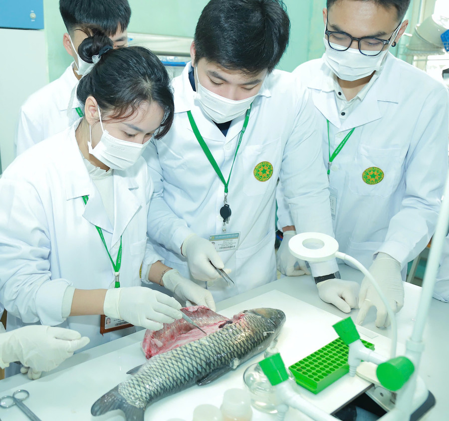 Sinh viên ngành Nuôi trồng thuỷ sản thực hành trên cá. hocbongjpg1.jpg