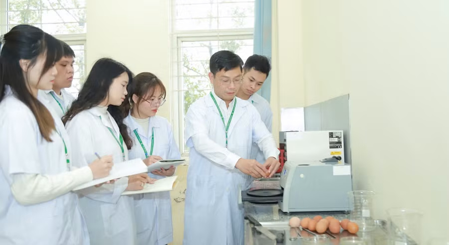Sinh viên Học viện Nông nghiệp Việt Nam tham gia nghiên cứu khoa học.