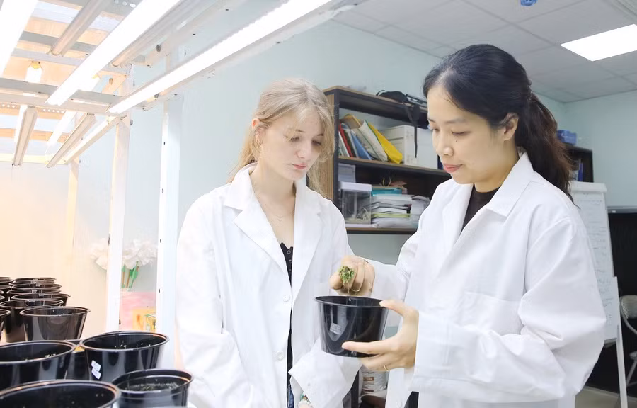 Giảng viên Trường Đại học Công nghệ (ĐH Quốc gia Hà Nội) hướng dẫn sinh viên quốc tế.