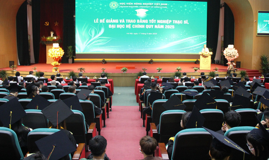 Toàn cảnh buổi lễ. img-9917.jpg
