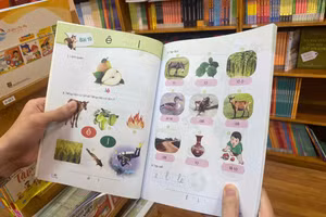 Bài học trong SGK Tiếng Việt hay Toán đều gắn với những tình huống quen thuộc trong đời sống hằng ngày giúp học sinh dễ ghi nhớ. Ảnh: An Vy.