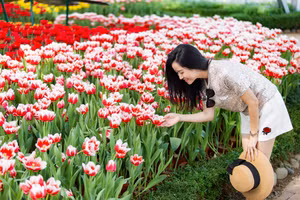 Du xuân đón Tết đậm màu sắc Phương Đông tại Vinpearl khắp 3 miền