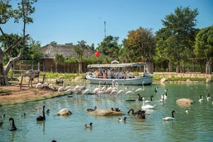 Khám phá thiên nhiên kỳ thú tại River Safari. Ảnh: VinWonders.