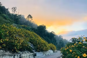 Những con đường thơ mộng có “1-0-2”.