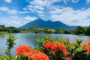 Bavi Resort nhìn từ xa.