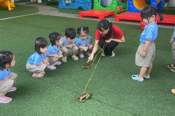 Hoạt động vui chơi ngoài trời của học sinh Trường Mầm non Hoa Hồng.
