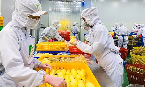 Chế biến sâu giúp nâng giá trị nông sản Đắk Lắk. (Ảnh ITN)