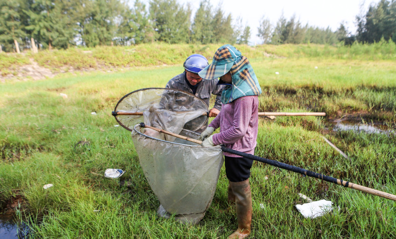 Săn 'tôm bay' kiếm tiền triệu mỗi ngày 