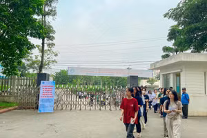 Thí sinh tham dự Kỳ thi V-SAT tại Đại học Thái Nguyên năm 2025.